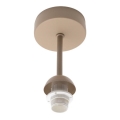 BRILAGI - Aufputz-Deckenleuchte PARTY 1xE14/60W/230V beige