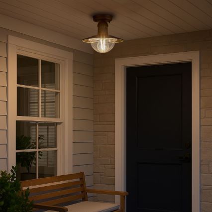 Brilagi - Außen-Deckenleuchte MOLDE 1xE27/60W IP44 Bronze/Patina