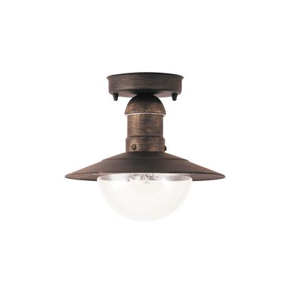 Brilagi - Außen-Deckenleuchte MOLDE 1xE27/60W IP44 Bronze/Patina