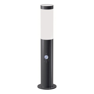 Brilagi - Außenleuchte mit Sensor ELIA 1xE27/20W/230V IP44 50 cm Anthrazit