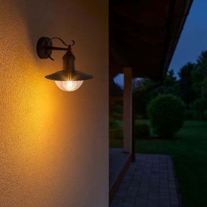 Brilagi - Außenwandleuchte MOLDE 1xE27/60W/230V IP44 schwarz