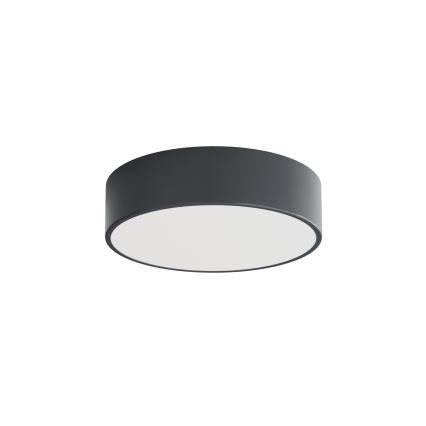 Brilagi - Badezimmer-Deckenleuchte CLARE 2xE27/24W/230V Durchmesser 30 cm Anthrazit IP54