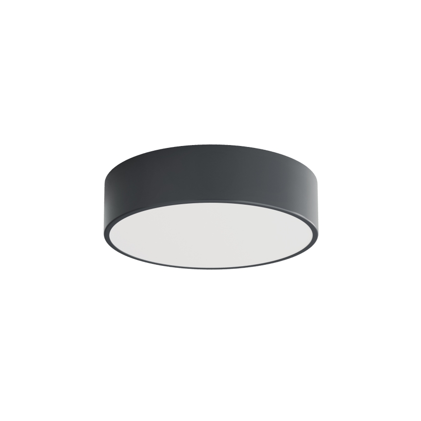Brilagi - Badezimmer-Deckenleuchte CLARE 2xE27/24W/230V Durchmesser 30 cm Anthrazit IP54