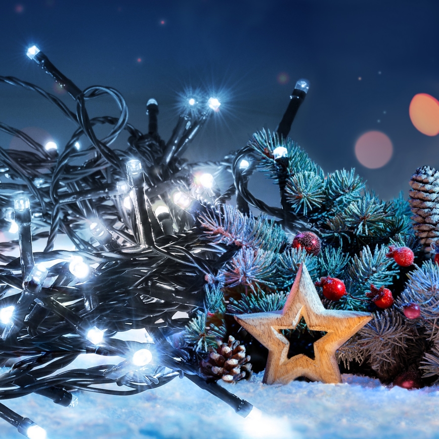 Brilagi - Catena luminosa LED da esterno 100 LED/8 funzioni, 13 m, IP44, bianco freddo