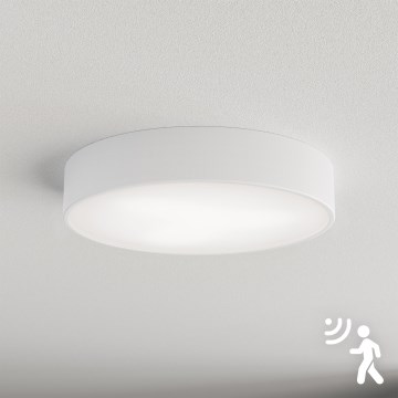 Brilagi - Deckenleuchte mit Sensor CLARE 3xE27/40W/230V d 40 cm weiß+