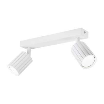 Brilagi - Deckenspot CRISPINA 2xGU10/10W/230V weiß