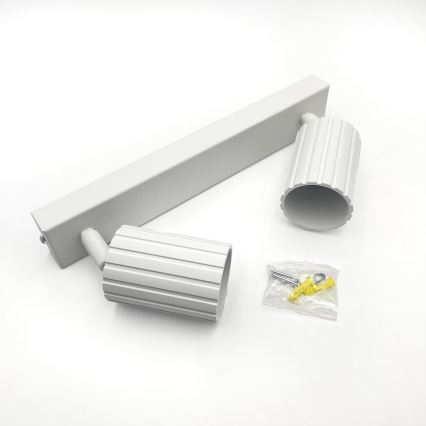 Brilagi - Deckenspot CRISPINA 2xGU10/10W/230V weiß