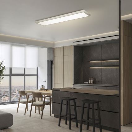 Brilagi - Dimmbare LED-Deckenleuchte für Badezimmer FRAME SMART LED/50W/230V 120x30 cm 3000-6000K IP44 silbern + Fernbedienung