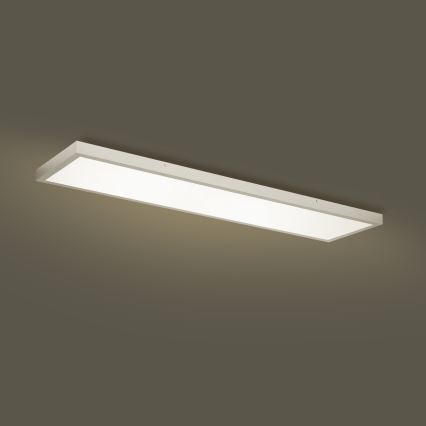 Brilagi - Dimmbare LED-Deckenleuchte für Badezimmer FRAME SMART LED/50W/230V 120x30 cm 3000-6000K IP44 silbern + Fernbedienung