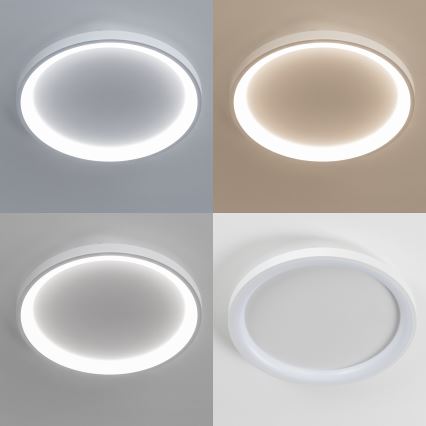 Brilagi - Dimmbare LED-Deckenleuchte FALCON SLIM LED/42W/230V 3000-6500K Ø 50 cm weiß + Fernbedienung