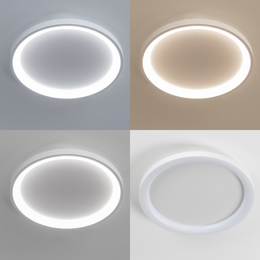 Brilagi - Dimmbare LED-Deckenleuchte FALCON SLIM LED/42W/230V 3000-6500K Ø 50 cm weiß + Fernbedienung