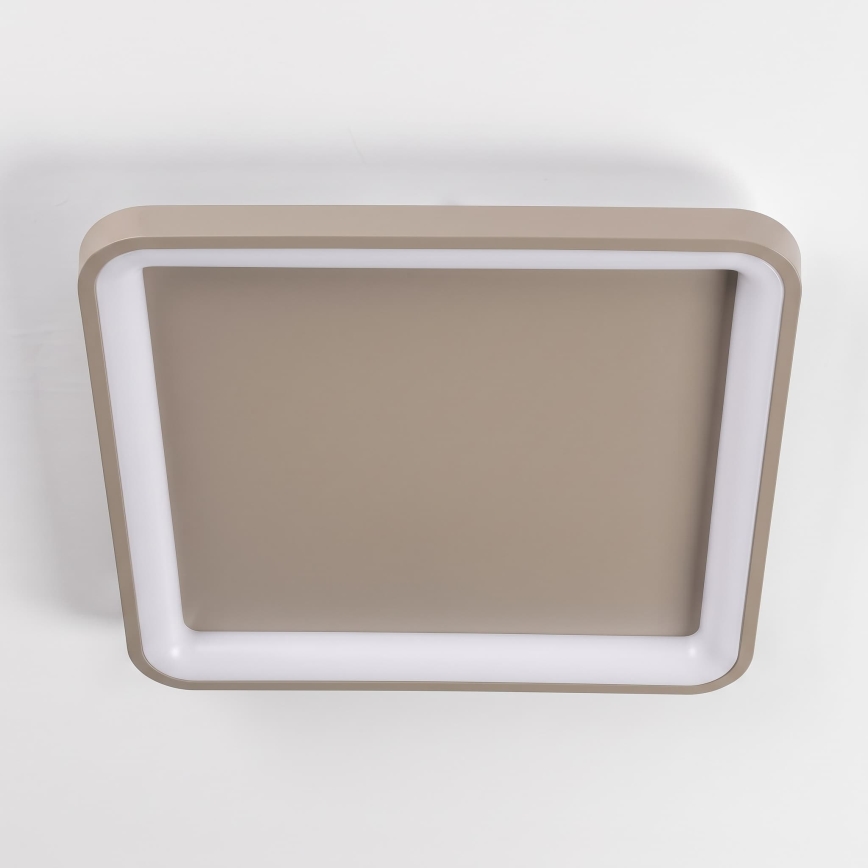 BRILAGI - LED-dimmbare Deckenleuchte FALCON SLIM LED/50W/230V 3000-6500K 50x50 cm beige + Fernbedienung
