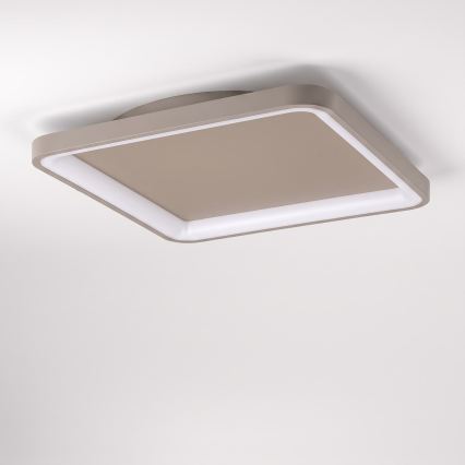 BRILAGI - LED-dimmbare Deckenleuchte FALCON SLIM LED/50W/230V 3000-6500K 50x50 cm beige + Fernbedienung