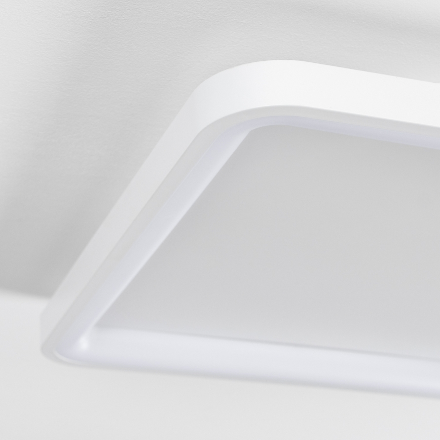 Brilagi - dimmbare LED-Deckenleuchte FALCON SLIM LED/50W/230V 3000-6500K 50x50 cm weiß + Fernbedienung