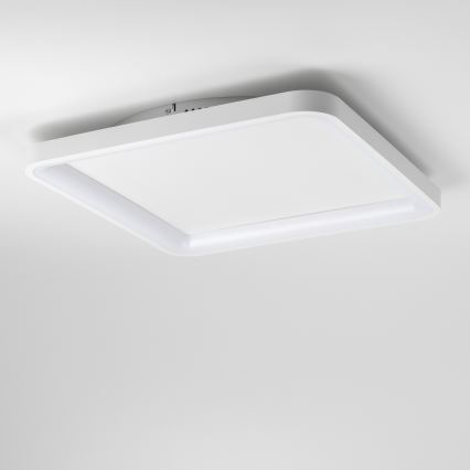 Brilagi - dimmbare LED-Deckenleuchte FALCON SLIM LED/50W/230V 3000-6500K 50x50 cm weiß + Fernbedienung