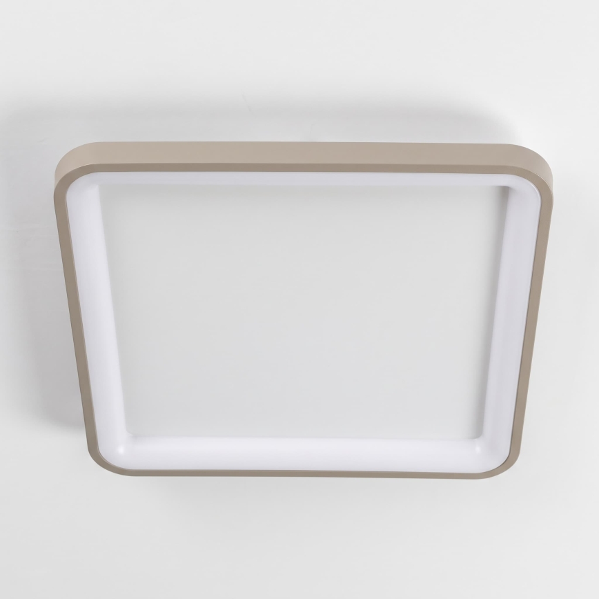 BRILAGI - dimmbare LED-Deckenleuchte FALCON SLIM LED/50W/230V 3000-6500K 50x50 cm weiß/beige + Fernbedienung