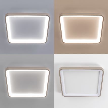BRILAGI - dimmbare LED-Deckenleuchte FALCON SLIM LED/50W/230V 3000-6500K 50x50 cm weiß/beige + Fernbedienung