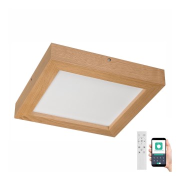 Brilagi - Dimmbare LED-Deckenleuchte für Badezimmer WOODY FRAME LED/24W/230V Eiche 30x30 cm 3000-6000K IP44 + Fernbedienung