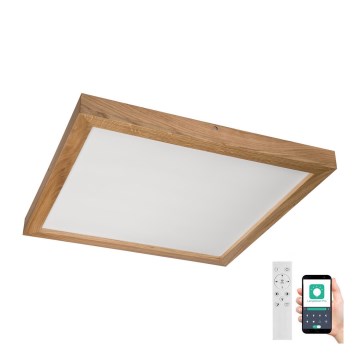 Brilagi - Dimmbare LED-Deckenleuchte für Badezimmer WOODY FRAME LED/50W/230V Eiche 60x60 cm 3000-6000K IP44 + Fernbedienung
