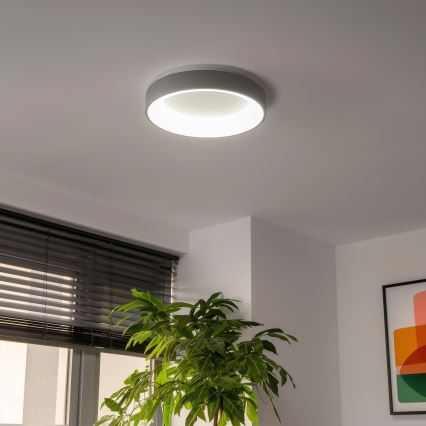 Brilagi - dimmbare LED-Deckenleuchte FALCON LED/40W/230V 3000-6500K Ø 45 cm grau + Fernbedienung