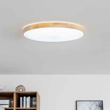 Brilagi - dimmbare LED-Deckenleuchte PINE LED/60W/230V Ø 52 cm 3000-6500K + Fernbedienung