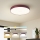 Brilagi - dimmbare LED-Deckenleuchte POOL LED/48W/230V 3000-6000K Ø 40 cm burgunderrot + Fernbedienung