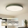 Brilagi - Dimmbare LED-Deckenleuchte POOL LED/60W/230V 3000-6000K Ø 60 cm grün + Fernbedienung