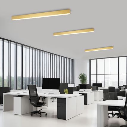 Brilagi - LED-dimmbare Deckenleuchte SLEEKLINE SMART LED/40W/230V 3000-6000K Wi-Fi Tuya goldfarben + Fernbedienung