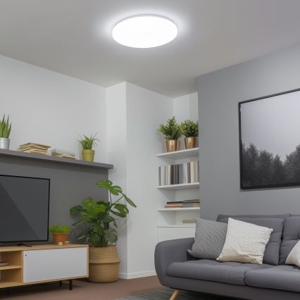 Brilagi – Dimmbare LED-Deckenleuchte SMART LED/24W/230V 2700-6500K Wi-Fi Tuya + Fernbedienung