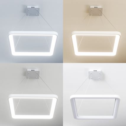 BRILAGI - LED-dimmbare Pendelleuchte an Stahlseil FALCON SLIM LED/50W/230V 3000-6500K 50x50 cm weiß + Fernbedienung