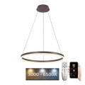 Brilagi - dimmbare LED-Hängeleuchte CIRCLE, 42 W, 230 V, 3000–6500 K, Ø 60 cm, braun, inkl. Fernbedienung