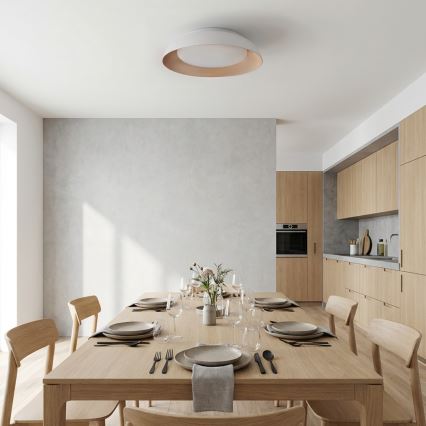 Brilagi - LED dimmbare Deckenleuchte ALVA LED/48W/230V 3000-6500K Ø 51 cm Weiß + Fernbedienung