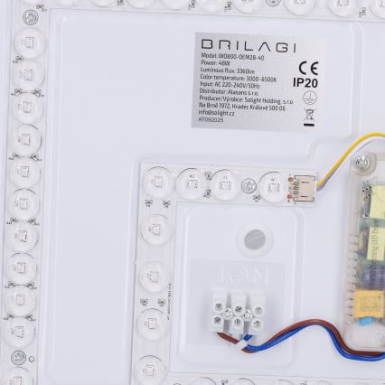Brilagi - LED Dimmbare Deckenleuchte NAOMI LED/48W/230V 3000-6500K Ø 39 cm schwarz + Fernbedienung