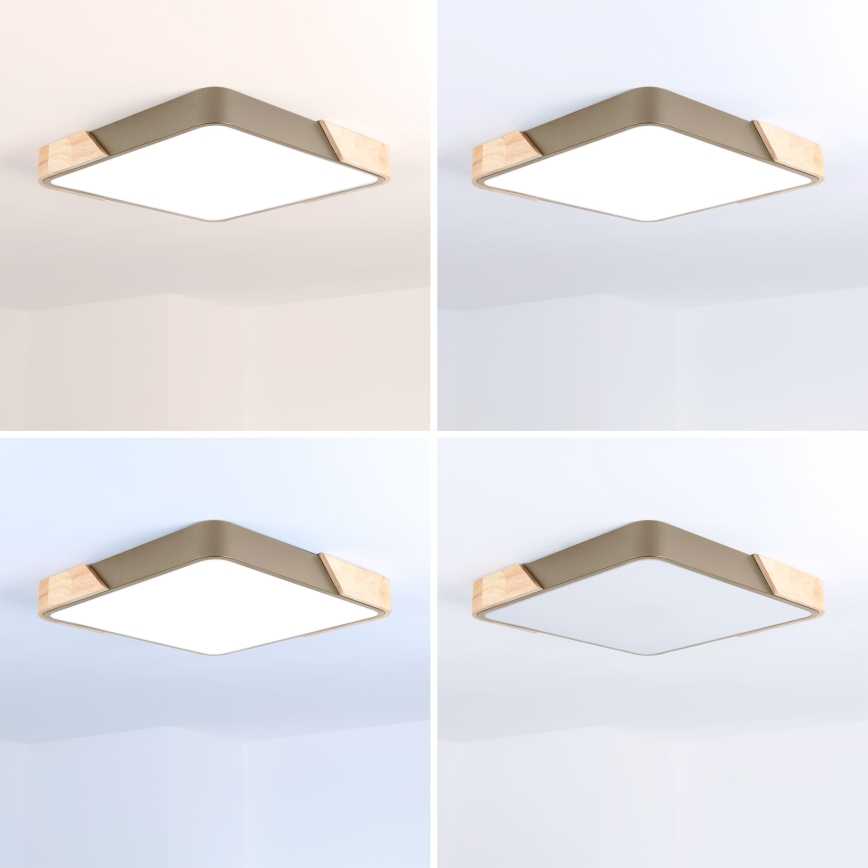 BRILAGI - LED-dimmbare Deckenleuchte PILANA SQUARE LED/48W/230V 3000-6500K Eiche/beige 42x42 cm + mit Fernbedienung