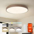 Brilagi - Dimmbare LED-Leuchte POOL SMART LED/100W/230V Ø 80 cm 3000-6000K Wi-Fi Tuya + Fernbedienung, braun