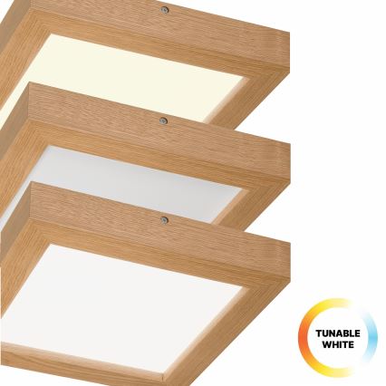 Brilagi - Dimmbare LED-Deckenleuchte für Badezimmer WOODY FRAME LED/24W/230V Eiche 30x30 cm 3000-6000K IP44 + Fernbedienung