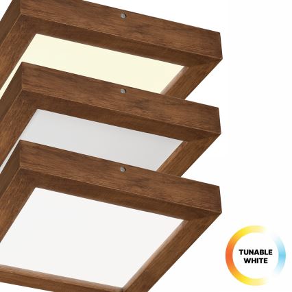Brilagi - Dimmbare LED-Deckenleuchte für Badezimmer WOODY FRAME LED/24W/230V Eiche Kirsche 30x30 cm 3000-6000K IP44 + Fernbedienung