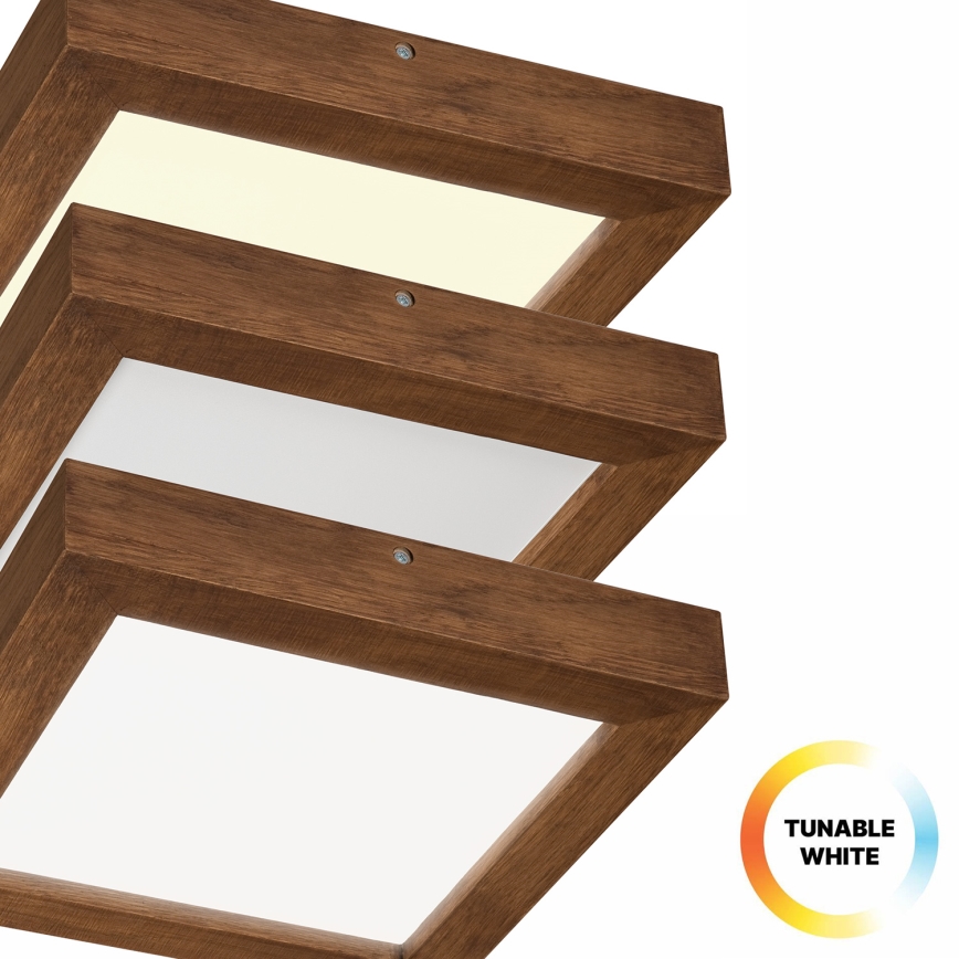 Brilagi - Dimmbare LED-Deckenleuchte für Badezimmer WOODY FRAME LED/24W/230V Eiche Kirsche 30x30 cm 3000-6000K IP44 + Fernbedienung