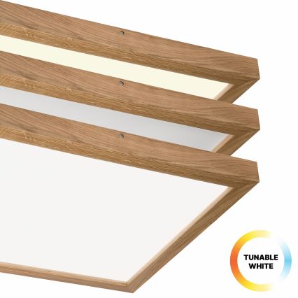 Brilagi - Dimmbare LED-Deckenleuchte für Badezimmer WOODY FRAME LED/50W/230V Eiche 60x60 cm 3000-6000K IP44 + Fernbedienung