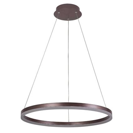 Brilagi - dimmbare LED-Hängeleuchte CIRCLE, 42 W, 230 V, 3000–6500 K, Ø 60 cm, braun, inkl. Fernbedienung