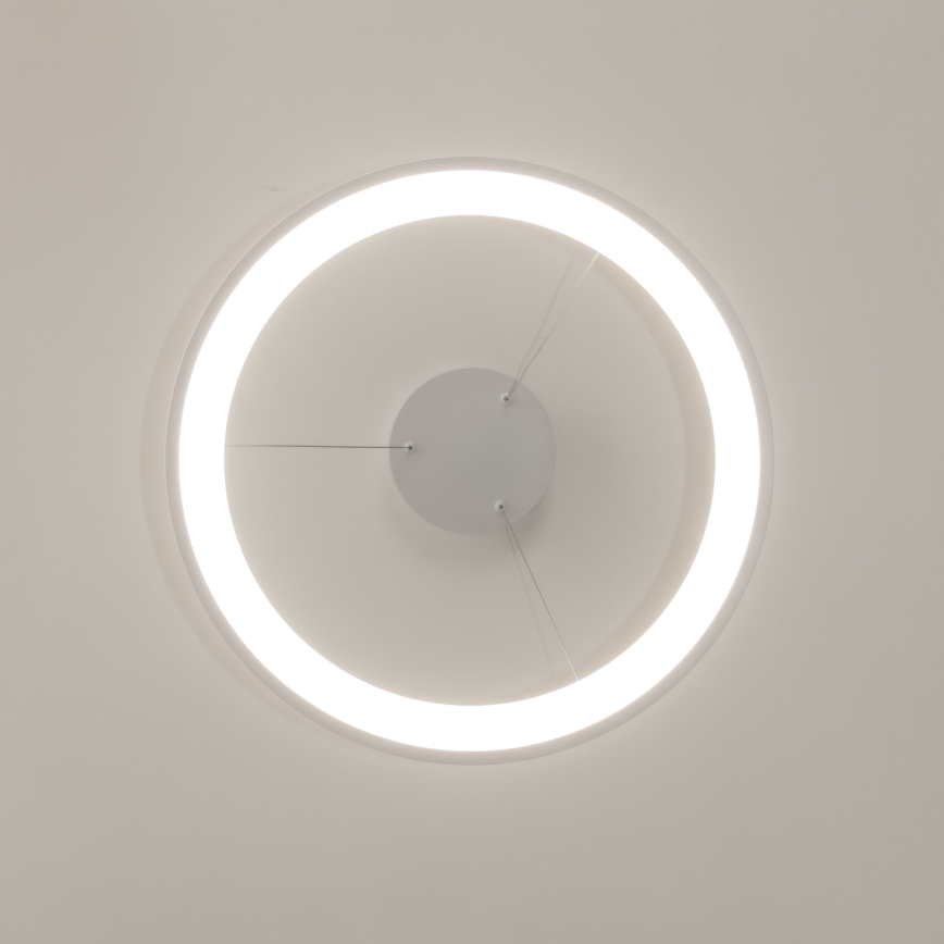 Brilagi - LED-dimmbare Pendelleuchte mit Kabelabhängung FALCON SLIM LED/42W/230V 3000-6500K pr. 50 cm weiß + Fernbedienung