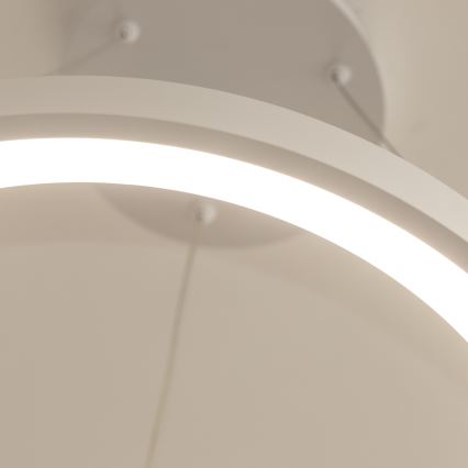 Brilagi - LED-dimmbare Pendelleuchte mit Kabelabhängung FALCON SLIM LED/42W/230V 3000-6500K pr. 50 cm weiß + Fernbedienung