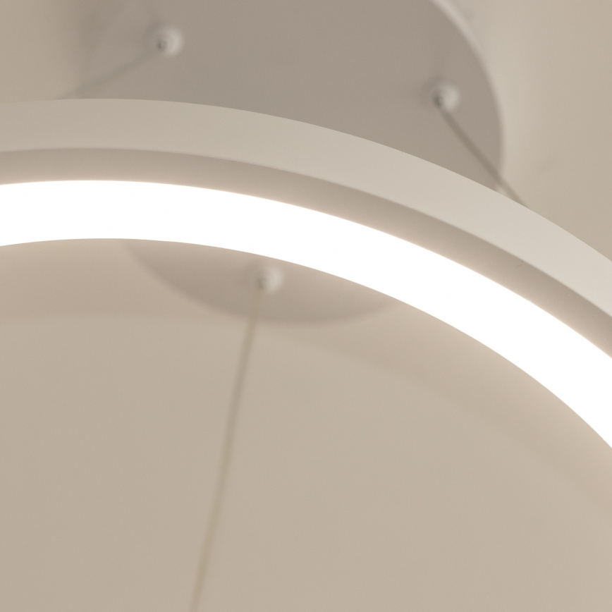 Brilagi - LED-dimmbare Pendelleuchte mit Kabelabhängung FALCON SLIM LED/42W/230V 3000-6500K pr. 50 cm weiß + Fernbedienung