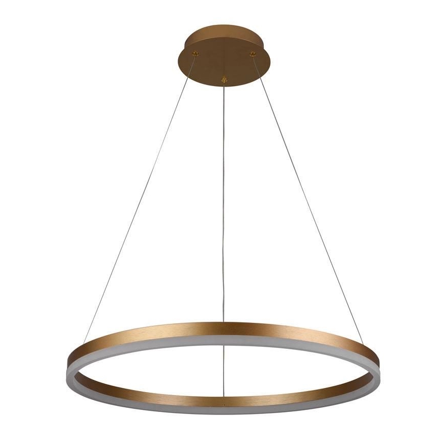 Brilagi - Dimmbare LED-Hängeleuchte mit Seilaufhängung CIRCLE LED/42W/230V 3000-6500K Ø 60 cm + Fernbedienung