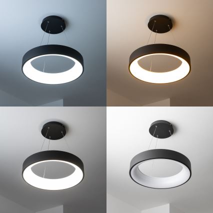 Brilagi - LED-dimmbare Hängeleuchte FALCON mit Seilaufhängung LED/40W/230V 3000-6500K Ø 45 cm schwarz + Fernbedienung