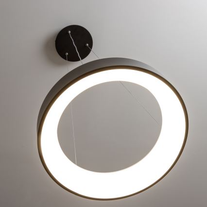 Brilagi - LED-dimmbare Hängeleuchte FALCON mit Seilaufhängung LED/40W/230V 3000-6500K Ø 45 cm schwarz + Fernbedienung