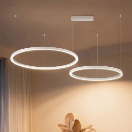 Brilagi - LED dimmbarer Pendelleuchter PORTOFINO an Seilaufhängung LED/98W/230V 3000-6000K weiß + Fernbedienung
