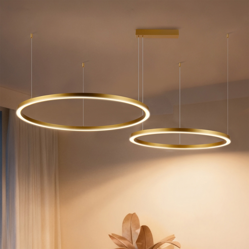 Brilagi - PORTOFINO LED dimmbare Hängeleuchte mit Seilaufhängung LED/98W/230V 3000-6000K goldfarben + Fernbedienung