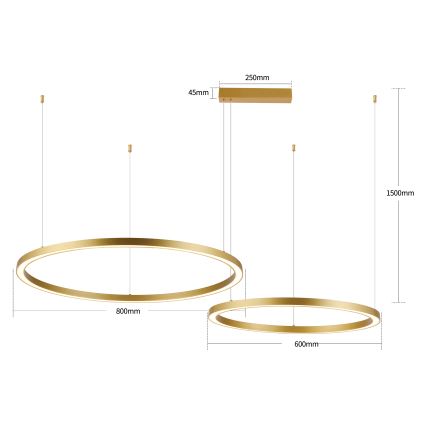 Brilagi - PORTOFINO LED dimmbare Hängeleuchte mit Seilaufhängung LED/98W/230V 3000-6000K goldfarben + Fernbedienung