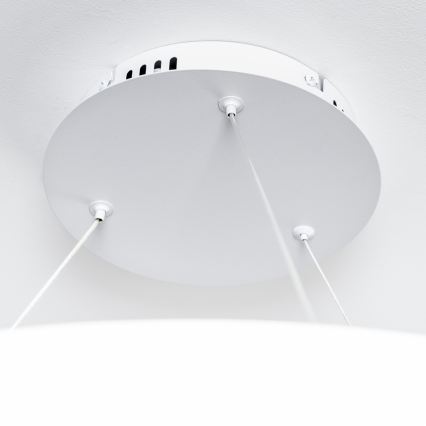 Brilagi - Dimmbare LED-Pendelleuchte an Kabel FALCON II LED/108W/230V 3000-6500K Ø 80 cm weiß + Fernbedienung